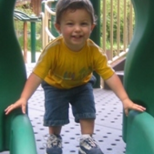 colin_sig_zoo