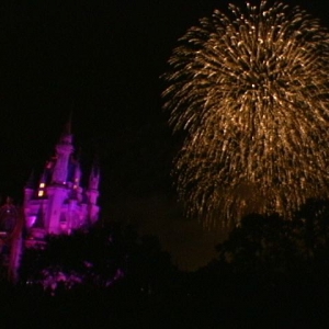 Wishes_7