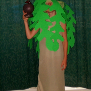 Palm_Tree