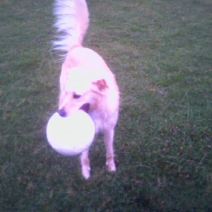 Jake with his ball