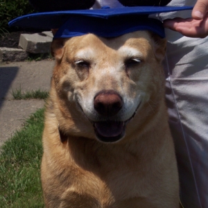 Coco's Graduation Day