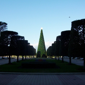 Contemporary Christmas tree