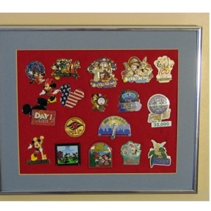 Pin Display