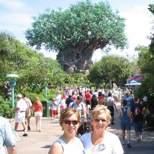 Tree of Life - Animal Kingdom