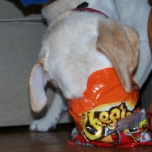 hungry