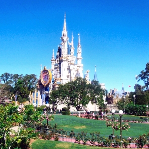 Wide shot - castle and rose garden.