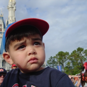 magic kingdom castle