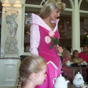 You_like_all_the_princesses