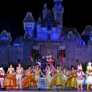 Disneyland Castle