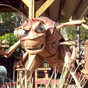 California_Adventure_Park_5_