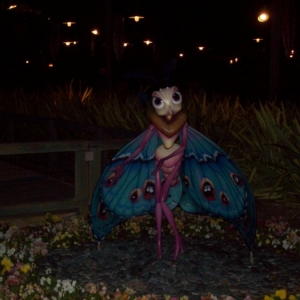 Disney's California Adventure Park