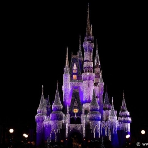 MVMCP_013