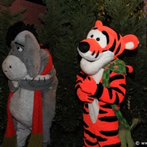 Media 'MVMCP_021' in category '2010 Mickey's Very Merry Christmas Party'