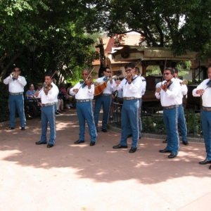 9-10_WDW_274