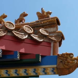 9-10_WDW_307