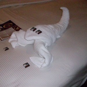 Towel Art, night 1