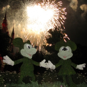 9-10_WDW_329