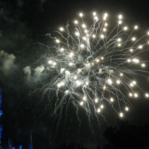 9-10_WDW_331