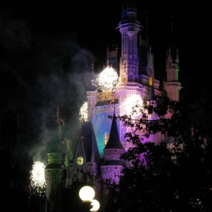 9-10_WDW_332