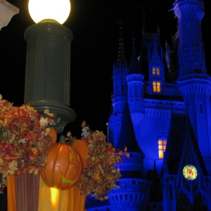 9-10_WDW_352