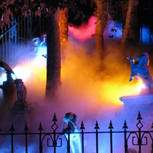 9-10_WDW_341