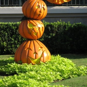 9-10_WDW_358