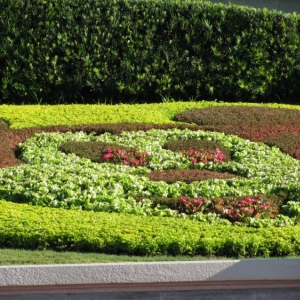 9-10_WDW_359