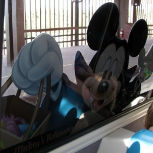 9-10_WDW_395