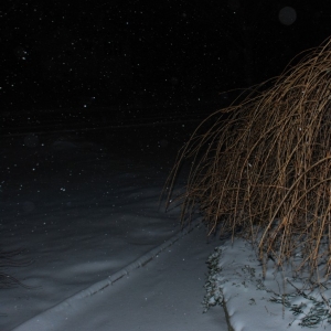 Snoflakes_2
