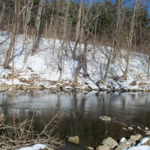 JAN_TROUT_004