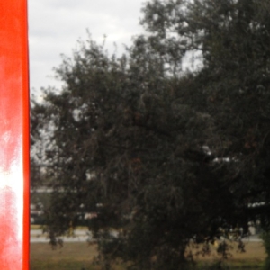 DSC042751