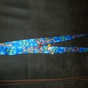 lanyard