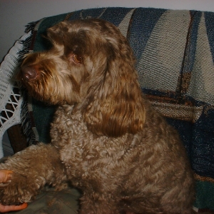 TOBY_007