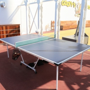 Goofys-Sports-Deck-16