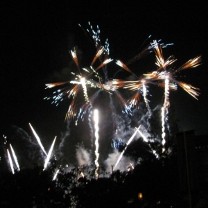 9-10_WDW_466