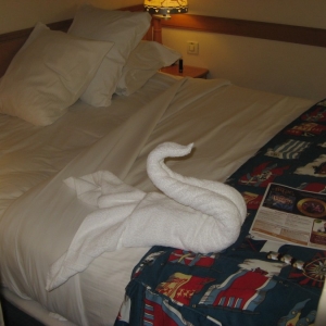 Swan towel!