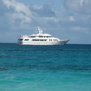 just a little yacht.