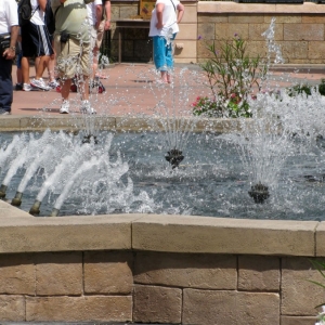 9-10_WDW_518