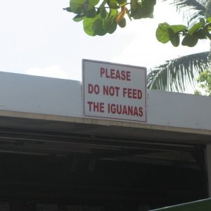 Good rule to live by