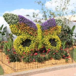 Epcot-Flower-Garden-Festival-038