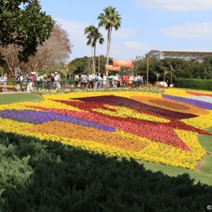 Epcot-Flower-Garden-Festival-062