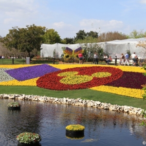 Epcot-Flower-Garden-Festival-063