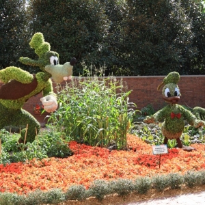 Epcot-Flower-Garden-Festival-095