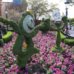 Epcot-Flower-Garden-Festival-110