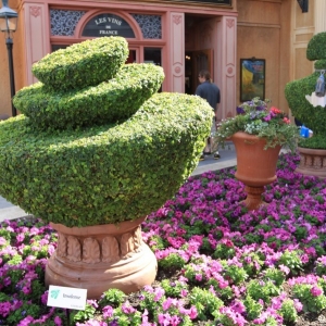 Epcot-Flower-Garden-Festival-113