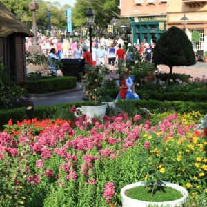 Epcot-Flower-Garden-Festival-121