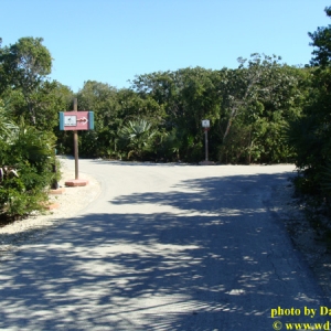 Castaway Cay Bike 4