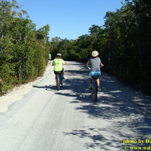 Castaway Cay Bike 5
