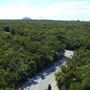 Castaway Cay Bike 9