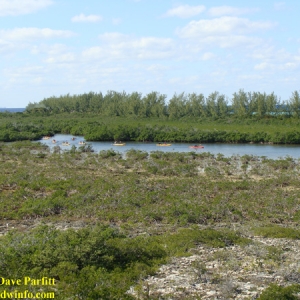 Castaway Cay Bike 10